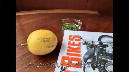 最近の唄336　慰めの報酬　／　所ジョージ